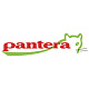 Pantera